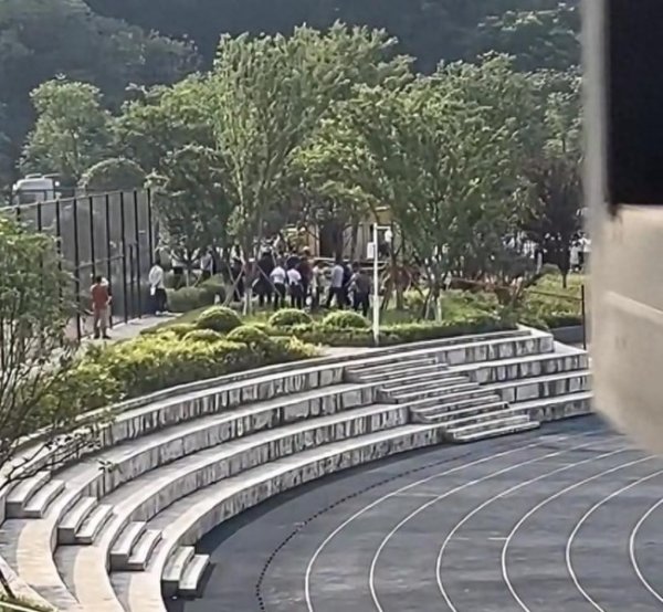 集采优配 男生化粪池坠亡副校长被免职 校方安全管理责任重大