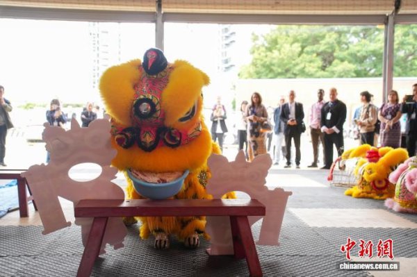 金股宝配资 【东盟专线】广西柳州“小狮子”出圈东盟：少年舞“活”非遗